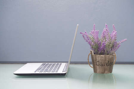 Office table with violet flower on pot and laptop.の写真素材