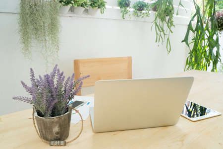 Office table with back of screen laptop, information data, tablet and purple lavender flower on pot, work place at tree garden, natural office place at home.の写真素材