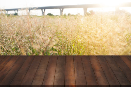 vintage wood shelves on blurry meadow with flower of grass, concept of shelves for display products...