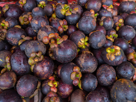 group of ripe mangosteen at fruit shop. seasonal fruit in Thailand.の写真素材