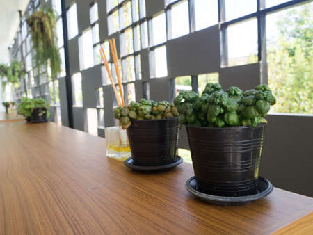wood table with green garden leaf tree on pot.の写真素材