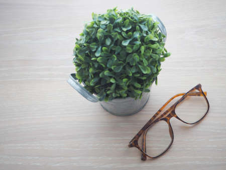 wood office table with modern eyeglasses and small tree on flower pot, selected focus on eyeglasses. view from top office table.の写真素材