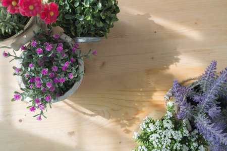 wood table with free space for text and  beautiful artificial flower frame on pot at living room. lavender flower, sky star flower.の写真素材