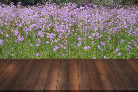 brown office table with free space for text on purple flower garden background.
