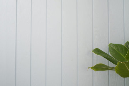Blank white wood wall texture background  for text with green leaf frame