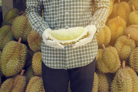 Garden man hold Durian fruit.