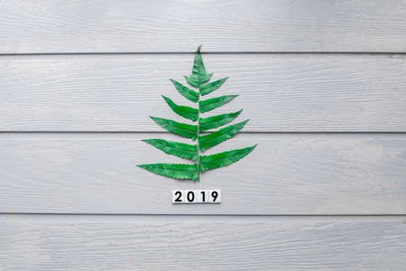 pine tree idea concept with 2019 new year on wood texture background.の写真素材