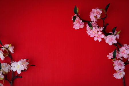 Composition on red background with Sakura flower.の写真素材