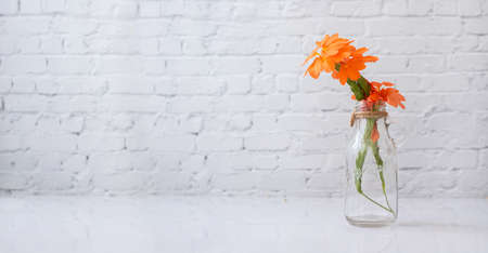 Glass vase with orange beautiful flower on white table.の写真素材