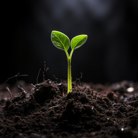 Young plant defies darknessの素材