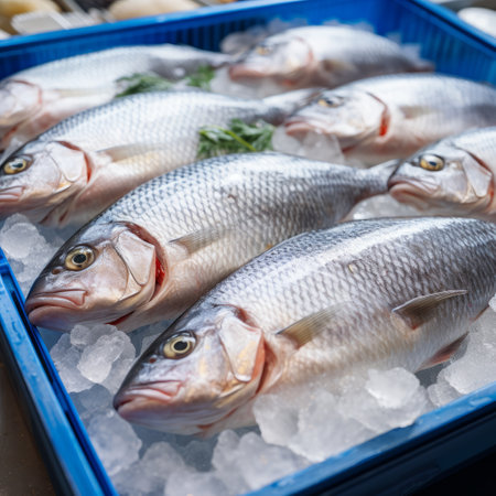 fish on ice at the market.の素材
