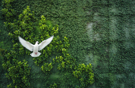 A white dove with outstretched wings flies in front of a vertical garden wall covered with green leavesの素材