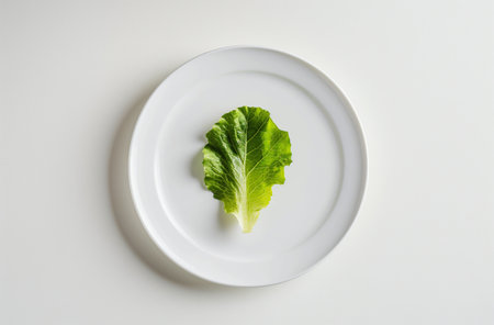 A green leaf of lettuce, on a white plate on a white background, symbolizes healthy foodの素材