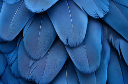 Blue feather texture close-upの素材