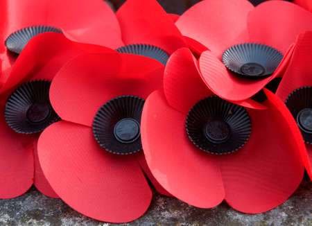 Poppies for Remembranceのeditorial素材