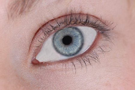 Blue Female Eye