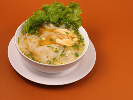 Glass noodle soup with chicken and beansprouts on a brown backgroundの写真素材