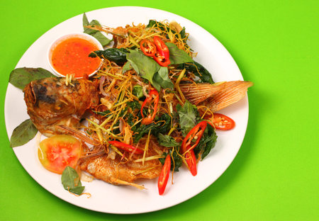thai style fried fish with herbs on a green backgroundの写真素材