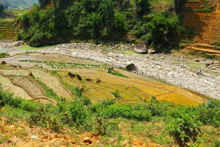 People working on Sapa rice terraces Vietnamの写真素材