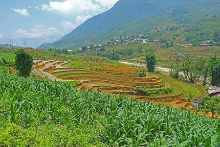 a view of sapa rice terraces and and mountainsの写真素材