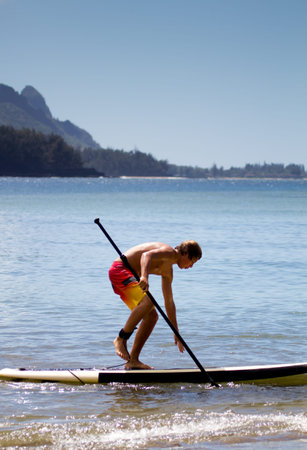 Paddle Surfing Hawaii a Teenage boy and his board learning in the Bayの写真素材
