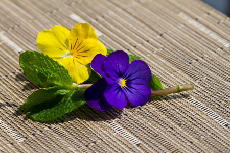 Mint with purple and yellow pansie on a textured matの写真素材