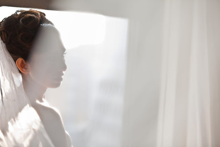 Silhouette of a Bride in the veil of sun through a shear