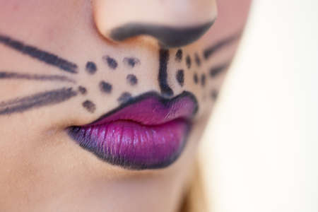 Close up of a painted face woman in cat makeupの写真素材
