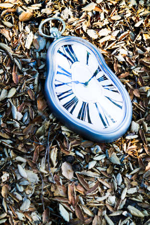 Clock lost in the leavesの写真素材