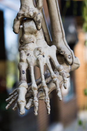 Halloween Decoration using skeleton feetの写真素材