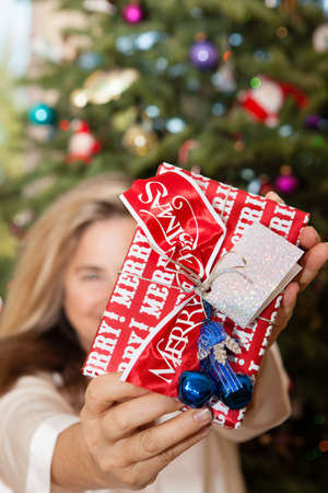 Pretty woman showing wrapped Christmas Gift in front of Xmas Treeの写真素材