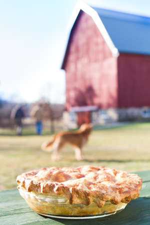 Homemade Apple Pie outside to cool with people and a dog in the backgroundの写真素材