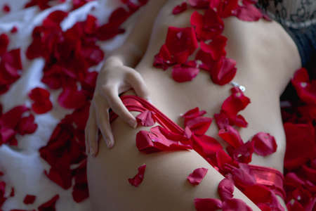 Beautiful Torso of a Woman in Rose Petalsの写真素材