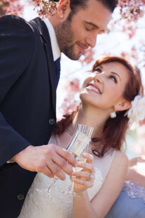 Focus on the glasses Newlyweds having a Champagne Toastの写真素材