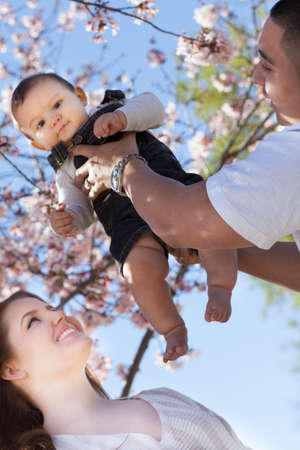 Cherry Blossoms surround a Beautiful young family in Spring timeの写真素材