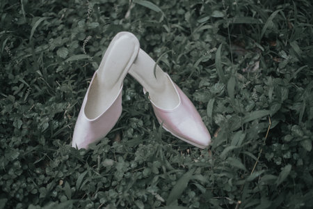 close up of the bride's white high heels on the grassの写真素材