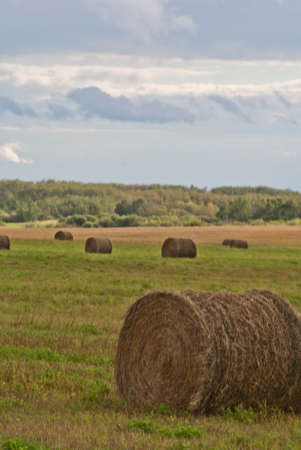 A hay bale sits in a field at right of frame with hay bales and cloudy sky in the backgroundの写真素材