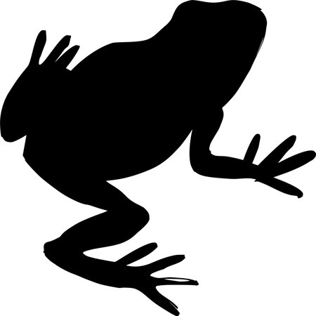 Vector silhouette of Frog on white backgroundのイラスト素材