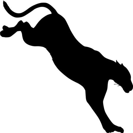 Vector silhouette of Tiger on white backgroundのイラスト素材