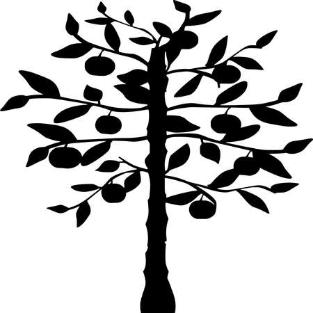 Vector silhouette of Tree on white backgroundのイラスト素材