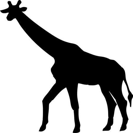 Vector silhouette of Giraffe on white backgroundのイラスト素材