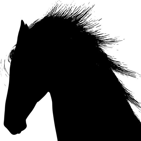 Vector silhouette of Horse on white backgroundのイラスト素材