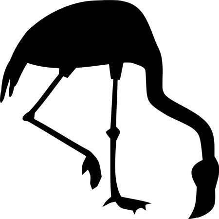 Vector silhouette of Flamingo on white backgroundのイラスト素材
