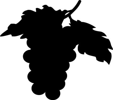 Vector silhouette of Grape on white backgroundのイラスト素材