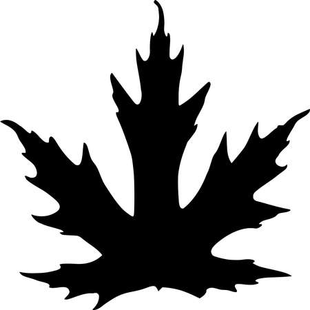 Vector silhouette of Maple Leaf on white backgroundのイラスト素材