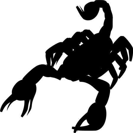 Vector silhouette of Scorpion on white backgroundのイラスト素材