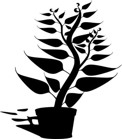Vector silhouette of Potted Plans on white backgroundのイラスト素材
