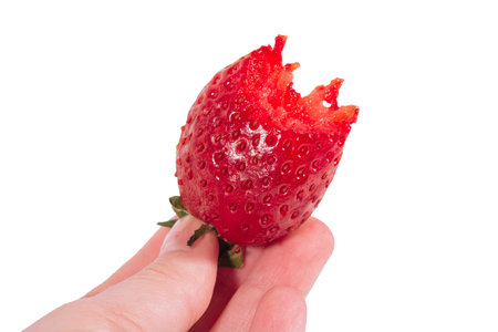 Hand with fresh strawberries on white backgroundの写真素材