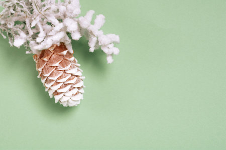 Top view Christmas and New Year decorations, pine cone on a green background. Flat lay Handmade New...