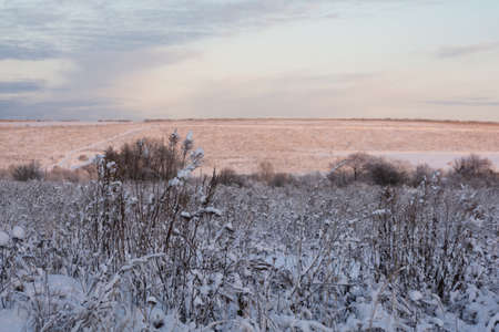 winter countryside landscape at sunset. snowy field. nature in winter seasonの写真素材